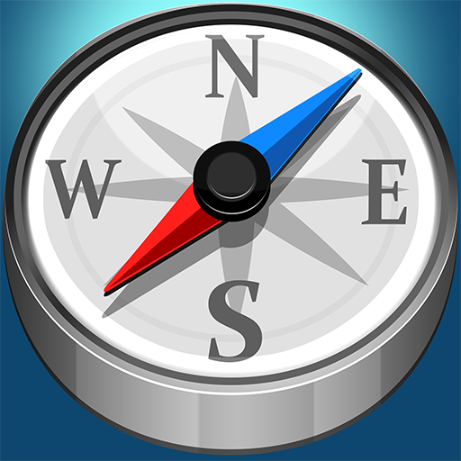 Direction Giver skin