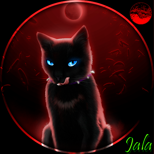 Red Night Cat skin