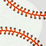 baseball skin