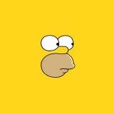 homer skin