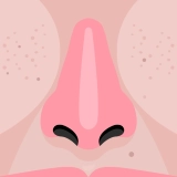 nose skin