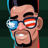 stars-and-stripes skin