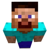 steve skin