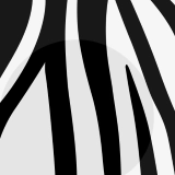 zebra skin